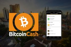 handla bitcoin cash i mobilen