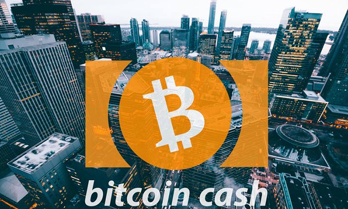 Bitcoin cash