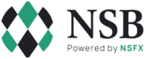 NS Broker logo