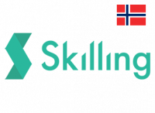 Skilling med norsk flagg